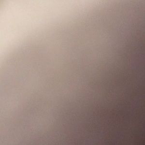 Meet your Posher, Molly